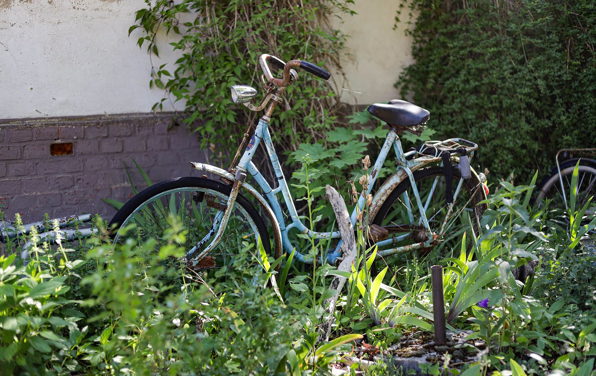 Altes Fahrrad in einem Blumenbeet in Kuhhorst